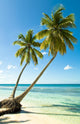 Tropical Beach Wall Mural