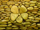 Flower Ornament from Stone Wall Mural