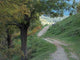 Wanderweg Den Pyrenaen Wall Decal