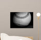 Black and White Baseball Wall Mural
