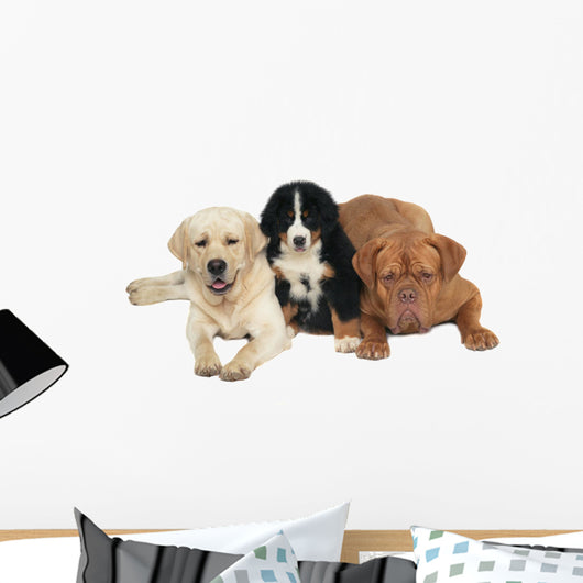 Three Dogs Wall Decal
