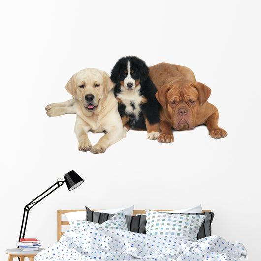 Three Dogs Wall Decal