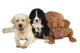 Three Dogs Wall Decal