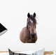 Bay Horse Face Wall Decal