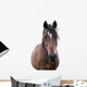 Bay Horse Face Wall Decal