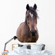 Bay Horse Face Wall Decal