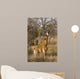 Giraffe Calf Wall Mural