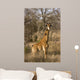 Giraffe Calf Wall Mural