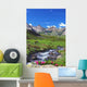Torrent La Cula Wall Decal