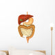 Digestive System Wall Decal