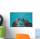 Bottle Nosed Dolphins Wall Mural