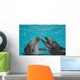 Bottle Nosed Dolphins Wall Mural