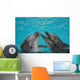 Bottle Nosed Dolphins Wall Mural