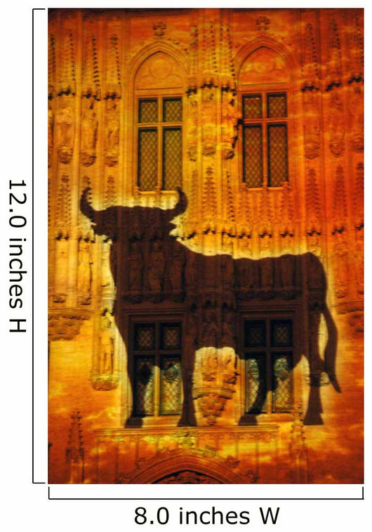 Bull Wall Mural
