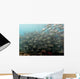 School Fish Wall Decal
