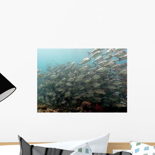 School Fish Wall Decal