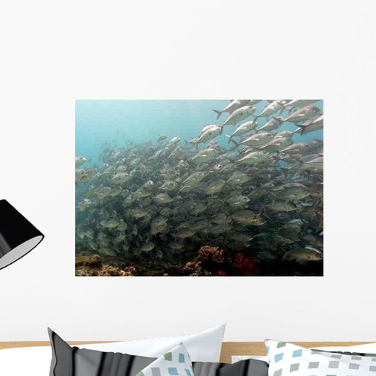 School Fish Wall Decal