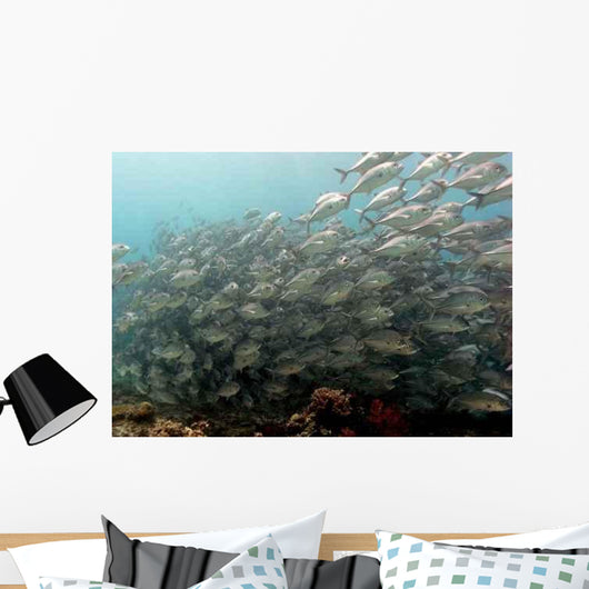 School Fish Wall Decal