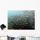 School Fish Wall Decal