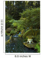 Japanese Garden Wall Mural