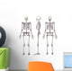 Female Skeleton Wall Decal Sticker Set