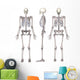 Female Skeleton Wall Decal Sticker Set