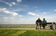 Nordsee Wall Decal