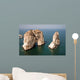 Raouche Wall Decal