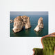 Raouche Wall Decal