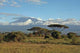 Kilimanjaro Wall Decal Design 2