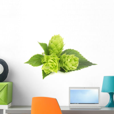 Fresh Green Hops Branch Wall Decal shown on a wall