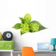 Fresh Green Hops Branch Wall Decal