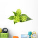 Fresh Green Hops Branch Wall Decal