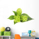Fresh Green Hops Branch Wall Decal