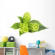 Fresh Green Hops Branch Wall Decal