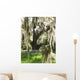 spanish moss on oak Wall Mural