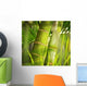 Green plant close-up Wall Mural