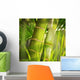 Green plant close-up Wall Mural