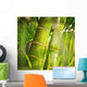Green plant close-up Wall Mural