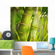 Green plant close-up Wall Mural
