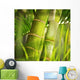 Green plant close-up Wall Mural