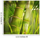 Green plant close-up Wall Mural