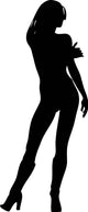 Woman Attractive Heels 1 Wall Decal