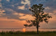 Sunset Mobile Bay Wall Decal
