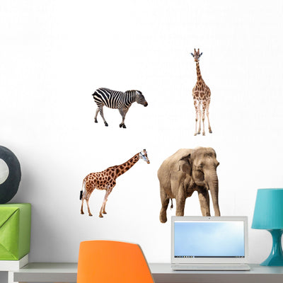 Africa Animals Collection Wall Stickers shown on a wall