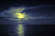 Night Landscape Wall Decal