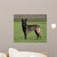Malinois Biche Wall Mural