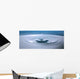 Suspended Water Drop Wall Decal