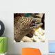 Moray He Wall Decal