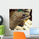 Moray He Wall Decal